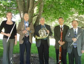 Reykjavik Wind Quintet 的头像