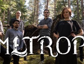 Avatar för Emetropia