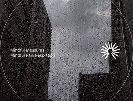 Avatar for Mindful Measures