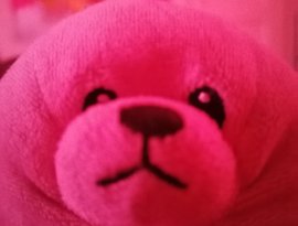 Pink Seal için avatar