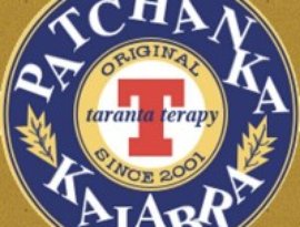 Taranta Terapy のアバター