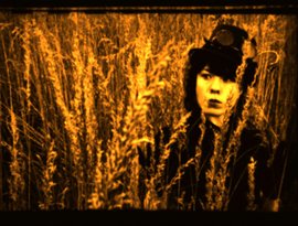 Avatar för hollowsteam
