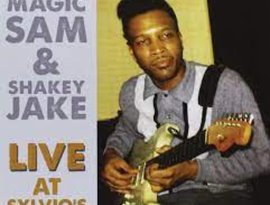 Avatar de Magic Sam and Shakey Jake