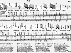 Franciscus Bossinensis 的头像