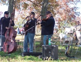 Avatar for 97th Regimental String Band