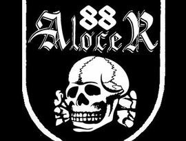 Alocer 88 的头像