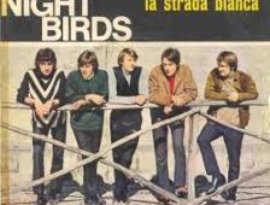 The Night Birds のアバター