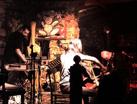 Blind Cave Salamander 的头像