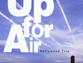 Avatar di Hollywood Trio