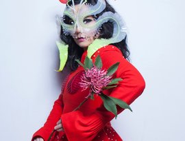 Avatar for Björk