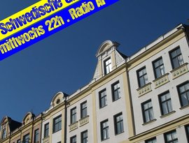 Schwedische Gardinen 的头像