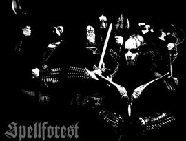 Avatar for Spell Forest