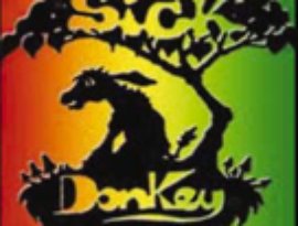 Sick Donkey Records 的头像