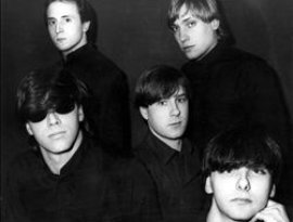 Awatar dla The Jet Black Berries