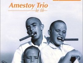 Avatar för Amestoy trio