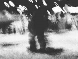 They Leapt From Burning Windows 的头像