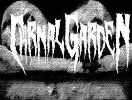 Carnal Garden 的头像