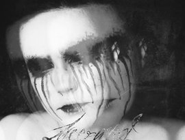Lacerated 的头像