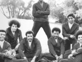 Awatar dla Turner Brothers