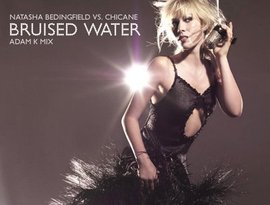 Chicane vs. Natasha Bedingfield 的头像