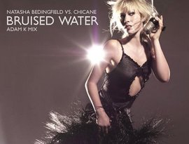 Chicane vs. Natasha Bedingfield のアバター