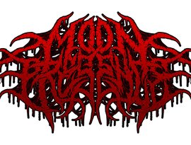 Moon Presence 的头像