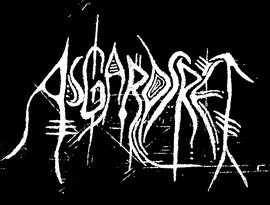 Asgardsrei 的头像