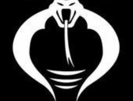 Avatar for SnakeNet Metal Radio