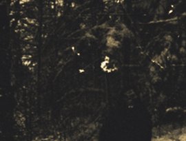 Avatar for Der Grauer Winter