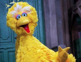 Big Bird 的头像