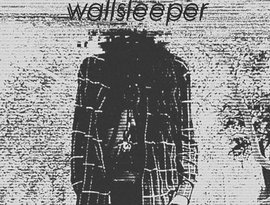 wallsleeper 的头像
