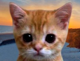 Avatar for Requiem for Last.fm