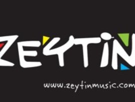 Avatar for ZEYTIN