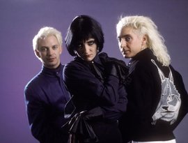 Avatar for Siouxsie and the Banshees