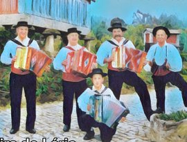 Avatar for Grupo Tocadores De Concertina Foz Do Lima