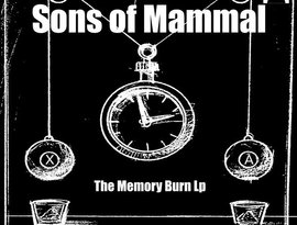 Avatar for Sons Of Mammal