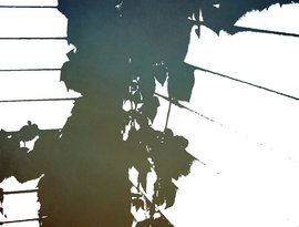 Avatar für Your New Aesthetic