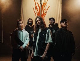 Alpha Wolf 的头像