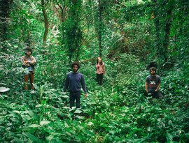 Boogarins のアバター