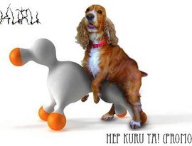 Avatar for Kuru(Tur)