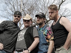 Hayseed Dixie 的头像