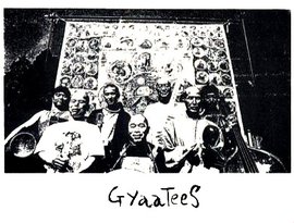 Avatar de Gyaatees