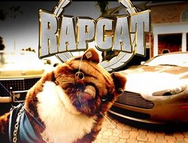 Avatar for Rap Cat