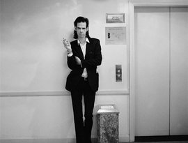 Nick Cave & the Bad Seeds 的头像