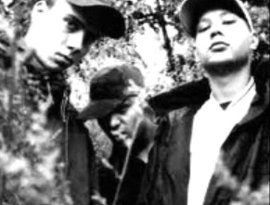 Avatar di Lin Brotherz