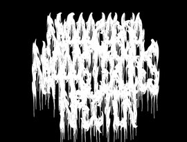 Nyaaacardia Nyaaasteroides Infection 的头像