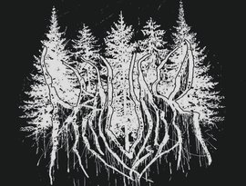 Draugur 的头像