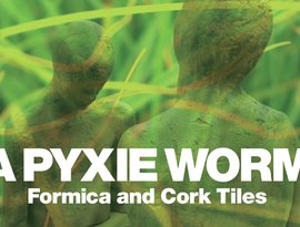 A Pyxie Worm 的头像