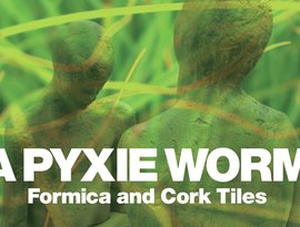 Avatar for A Pyxie Worm