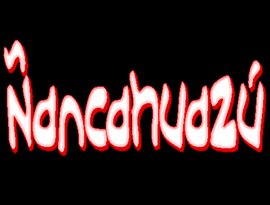 Ñancahuazú 的头像